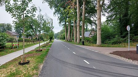 bomenlaan, voorbeeld
