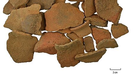 Zie onderschrift voor alternatieve tekst.